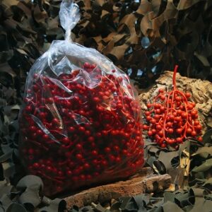 Baies rouges plastique