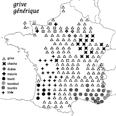 Grives noms vernaculaires